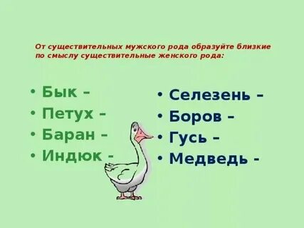 Род слова гусь
