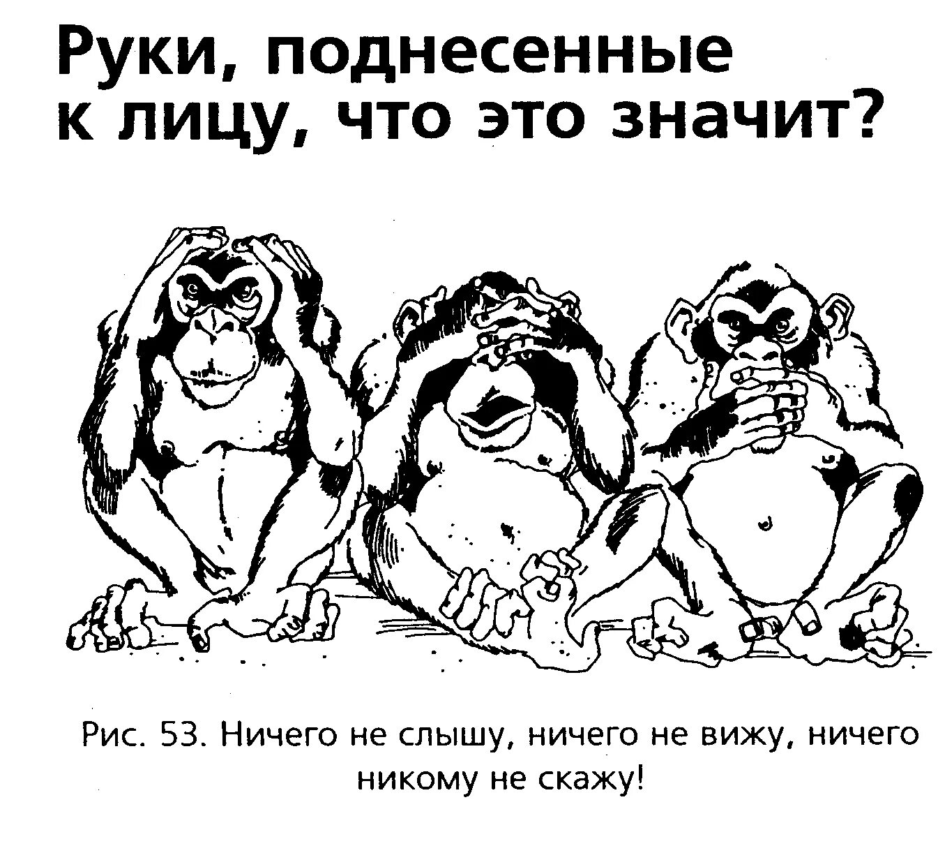 Ничего не вижу ничего не знаю. Ничего не вижу, ничего не слышу, ничего не вижу. ничего не вижу не слышу не скажу. ничего не вижу ничего слышу ничего никому. карикатура ничего не вижу ничего не слышу.