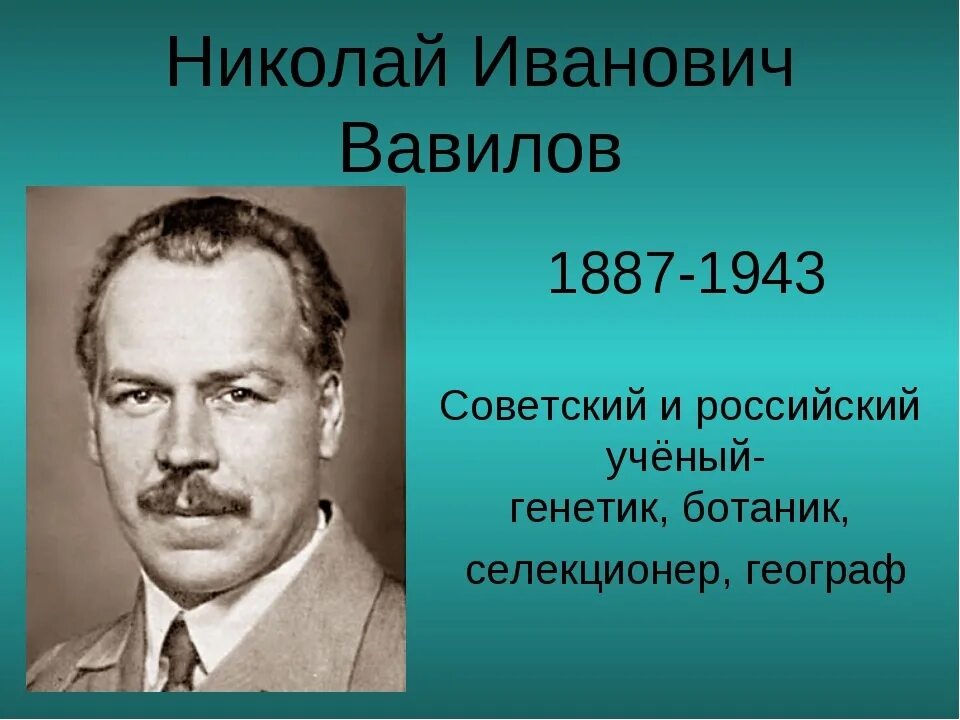 Вавилов н.и. (1887-1943). Портрет Вавилова Николая Ивановича.