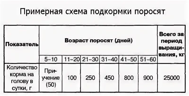 Сколько раз кормить поросят