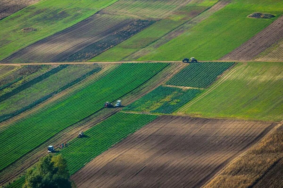 Пахотные земли Беларуси. Пахотные поля Белоруссия. Сельскохозяйственные угодья. Земля в сельском хозяйстве.