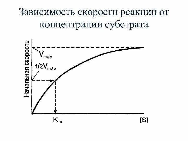 Зависимость ферментов от концентрации субстрата. Графическая зависимость скорости реакции от концентрации. График зависимости скорости реакции от концентрации субстрата. График концентрации субстрата. Зависимость скорости реакции от времени.