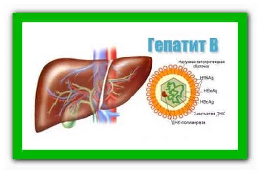 Препараты гепатит b. Гепатит б лечится. Гепатит народное
