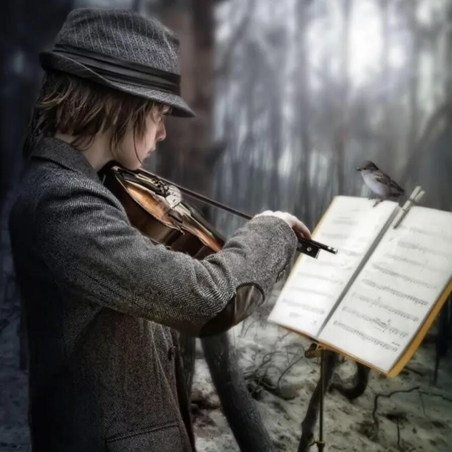 Скрипка на окне. Мальчик со скрипкой. Фотосессия со скрипкой. Скрипач в лесу. Музыканты в лесу.