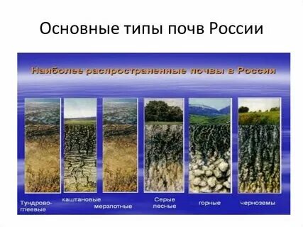 3 самые плодородные почвы