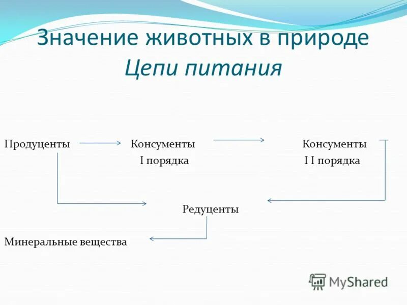 Значение животных в природе. Значение животных в природе-цепь питания. значение продуцентов. значение питания животных. значение продуцентов в природе.