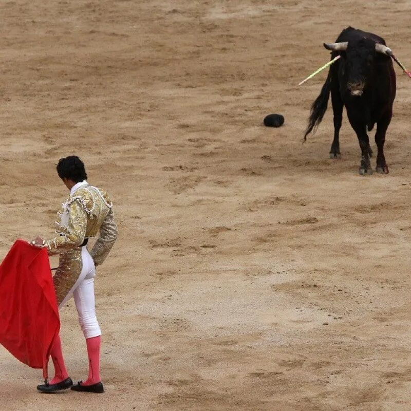 Ария тореадора. Испания коррида бык на арене.