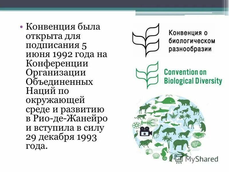Конвенция о биологическом разнообразии россия