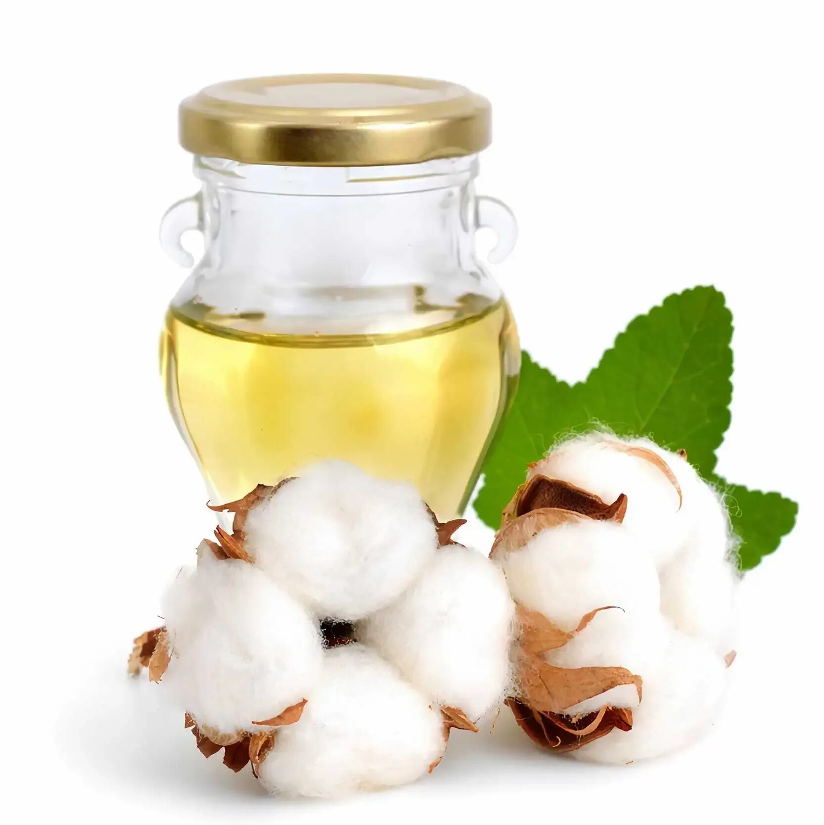 химический состав хлопка. хлопковое масло польза для женщин. масло семян хлопчатника. хлопковое масло польза. хлопковое масло полезные свойства.