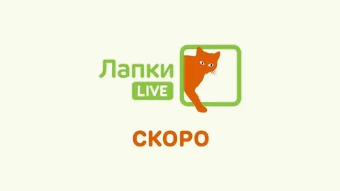 Лапки лайф