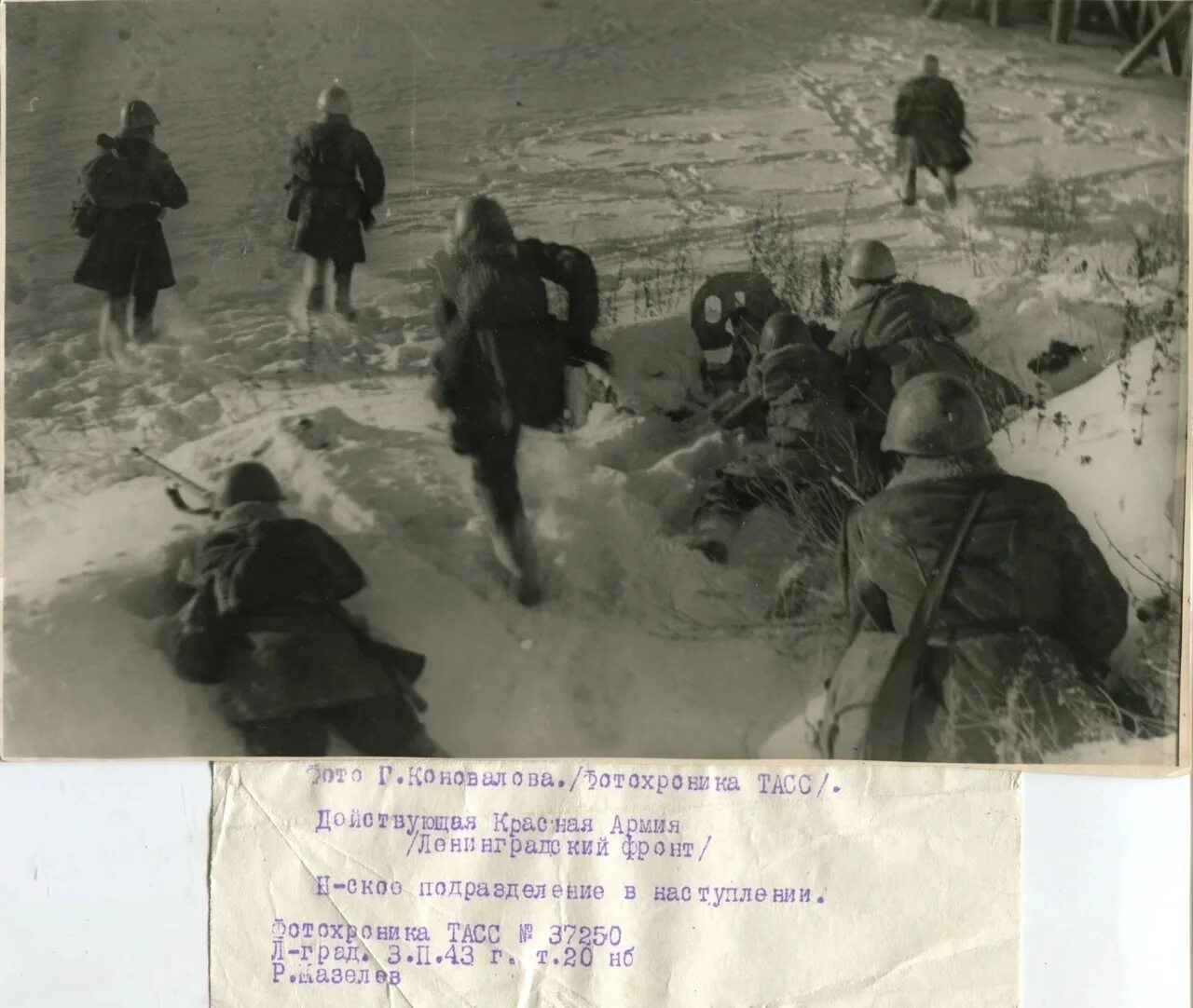 Сводка с фронта 13.03 2024. Ленинградский фронт прорыв блокады. 12 Января 1943 года войска Волховского и Ленинградского фронта. Блокада Ленинграда зима 1942.