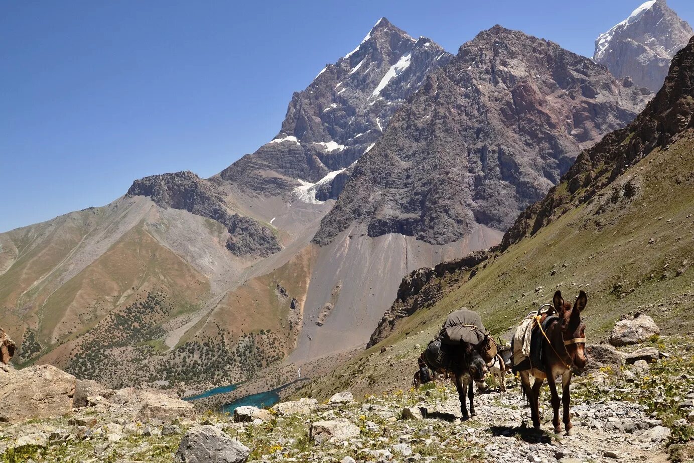 Таджикистан горы. Фанские горы Таджикистан. Фанские горы Узбекистан. Душанбе горы. Горы Сурх Таджикистан.