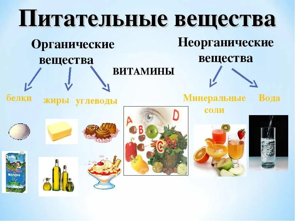 Сколько углеводов соли. Неорганические вещества белки жиры углеводы. Белки жиры углеводы витамины Минеральные вещества вода. Органические вещества пищи и их питательные вещества. Органические вещества примеры химия.