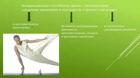 Системы воспроизведения движения. Системы воспроизведения движения