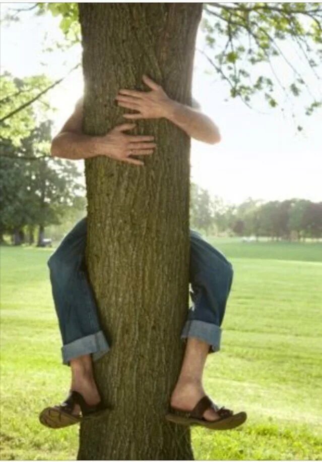 Человек обнимает дерево. Мужчина обнимает дерево. Человек обнимается с деревом.