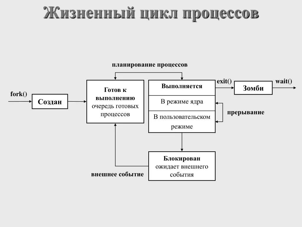 Жизненный цикл создания систем. Жизненный цикл процесса схема. Жизненный цикл процесса операционной системы. Жизненный цикл процесса в ОС. Основные состояния жизненного цикла процесса.