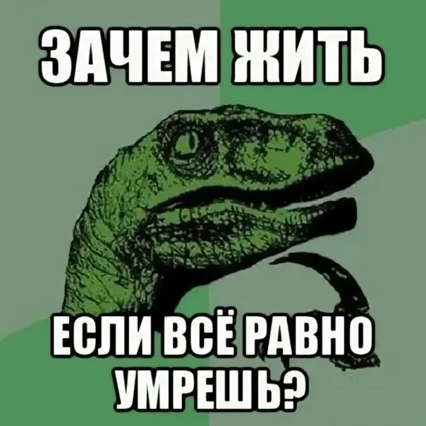 Зачем мем. Зачем я живу. Зачем все это. Зачем жить если все равно.