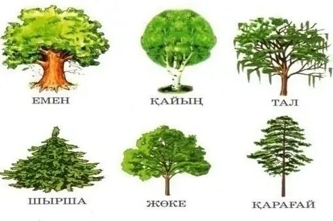 Порно видео Барби және үлкен петух в тығыз письки