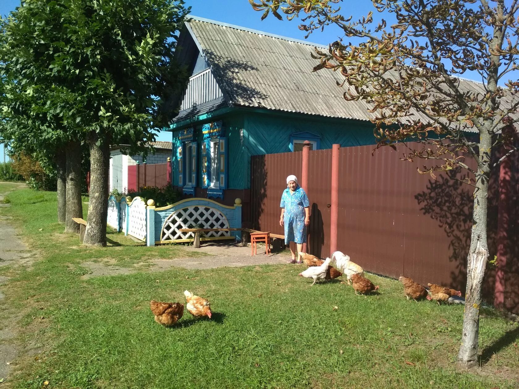 Купить недвижимость в гомеле. Деревня Чкалово Гомельский район. Чкалова Гомельская область. Гомель деревня Чкалова. Цыкуны Гомельский район.