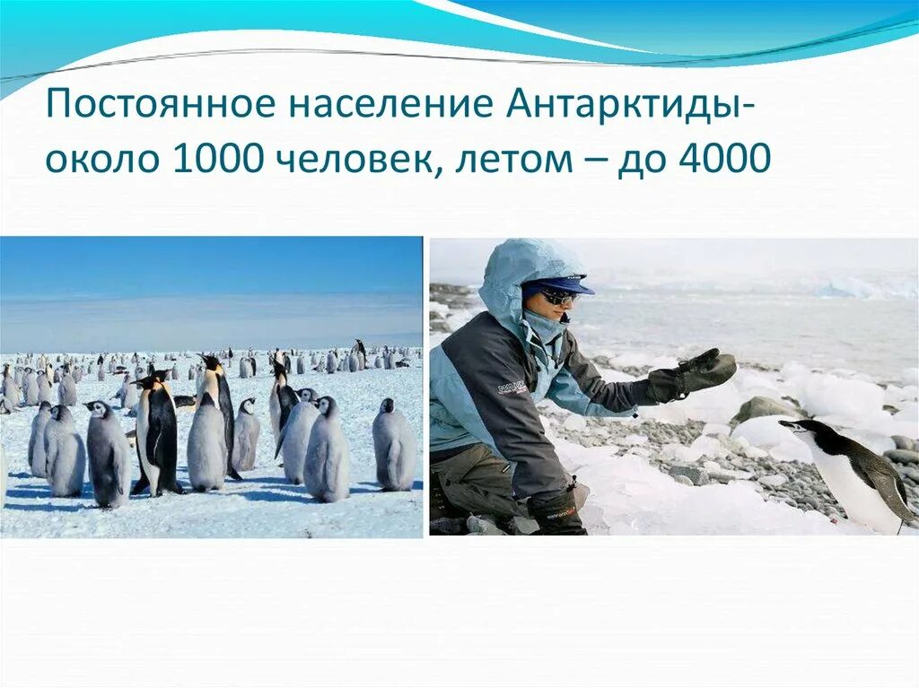 Сообщение про антарктиду 2 класс окружающий мир