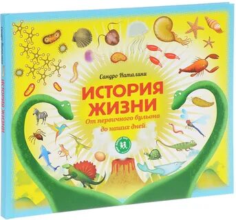 Как найти истории жизни