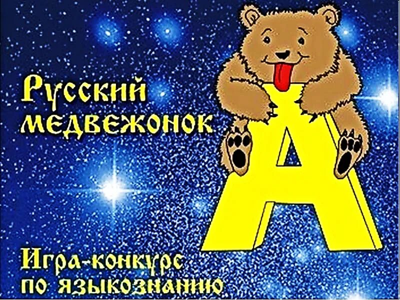 Эмблема конкурса кенгуру. Сертификат международного конкурса русский медвежонок. Сертификат русский медвежонок 2021. Кит кенгуру русский медвежонок. Сертификат по информатике.