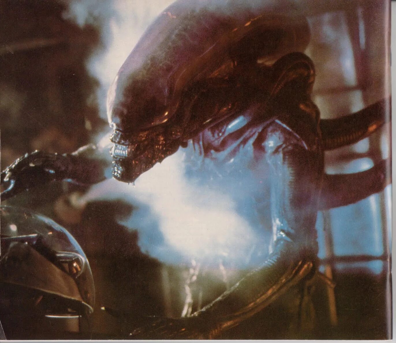 читать чужие 1