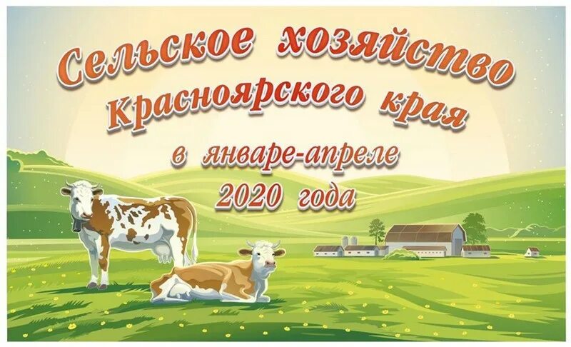 Сельскохозяйственное предприятие. Хозяйство красноярского края. Продукция сельского хозяйства красноярского края. Растениеводство красноярского края. Продукция сельского хозяйства красноярского края.
