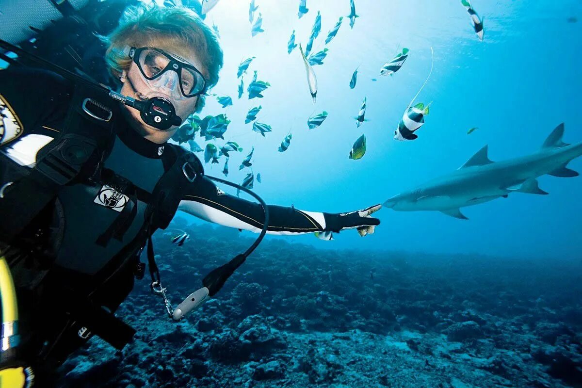 Подводное плавание на английском. Человек в акваланге. He s diving. Дайвинг санто доминго. Под водой.