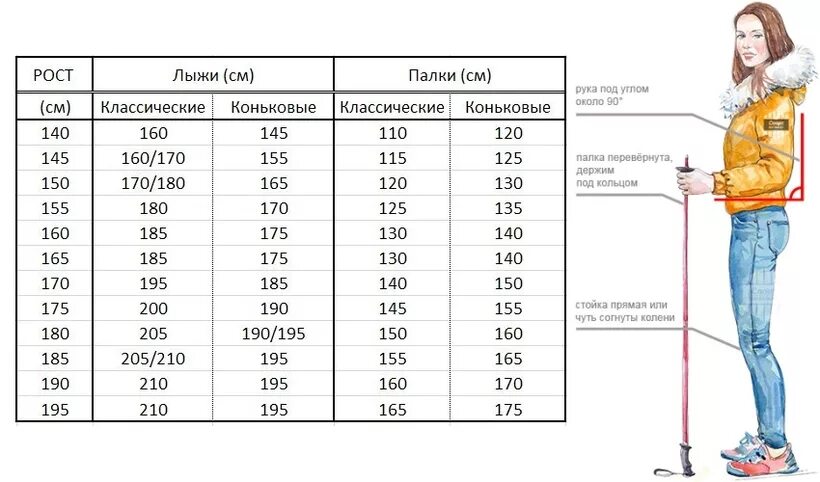 Как выбрать длину беговых лыж и палок по росту. Лыжные палки таблица размеров. Как выбрать беговые лыжи и палки по росту таблица. Палки для беговых лыж рост 168.