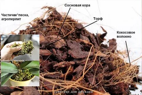 Порядок грунт