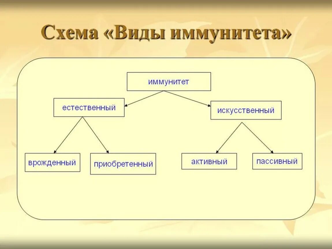 Виды и формы иммунитета схема. Классификация иммунитета схема. Схема классификации видов иммунитета. Активный и пассивный иммунитет схема. Иммунная биология