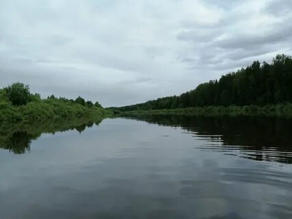 Унжа костромская