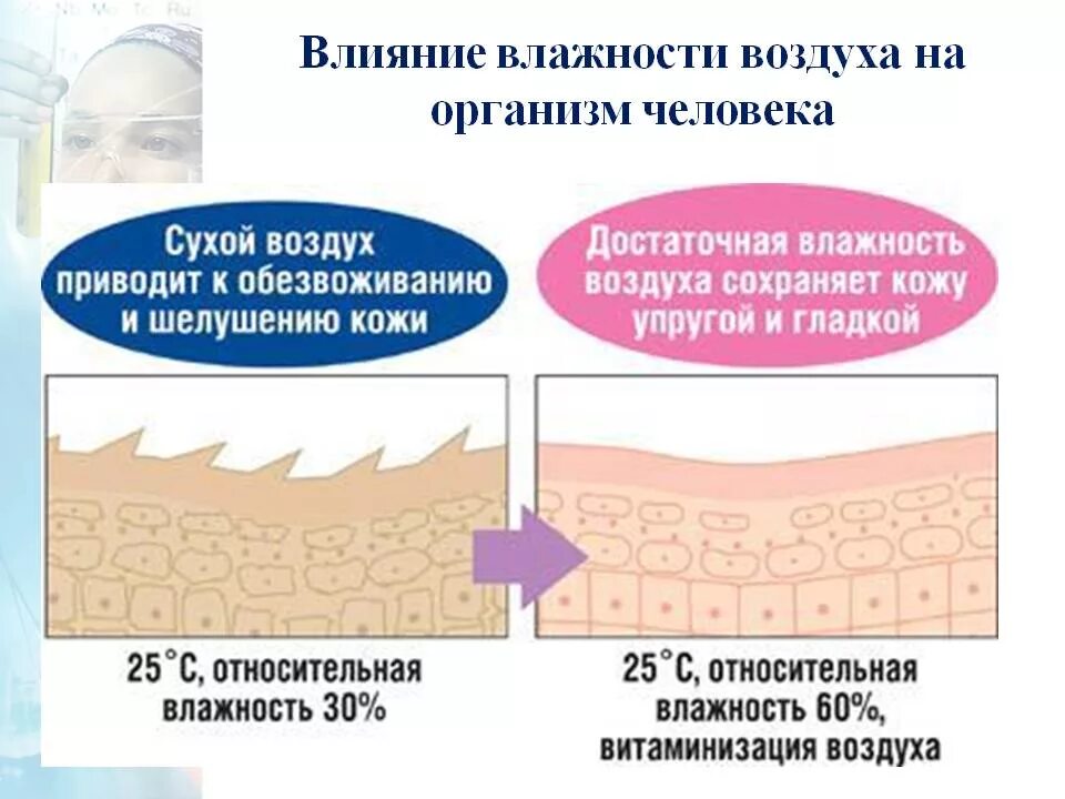 Сухой воздух какая влажность. Влияние влажности воздуха на человека. влияние влажности на здоровье. влияние влажности на организм человека. влияние влажности воздуха на кожу человека.
