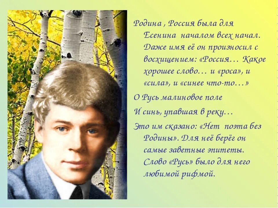 Стихотворение Есенина. Стихотворение Есенина о родине. Стихи Есенина. Есенин с. "стихи". Есенин история стихов