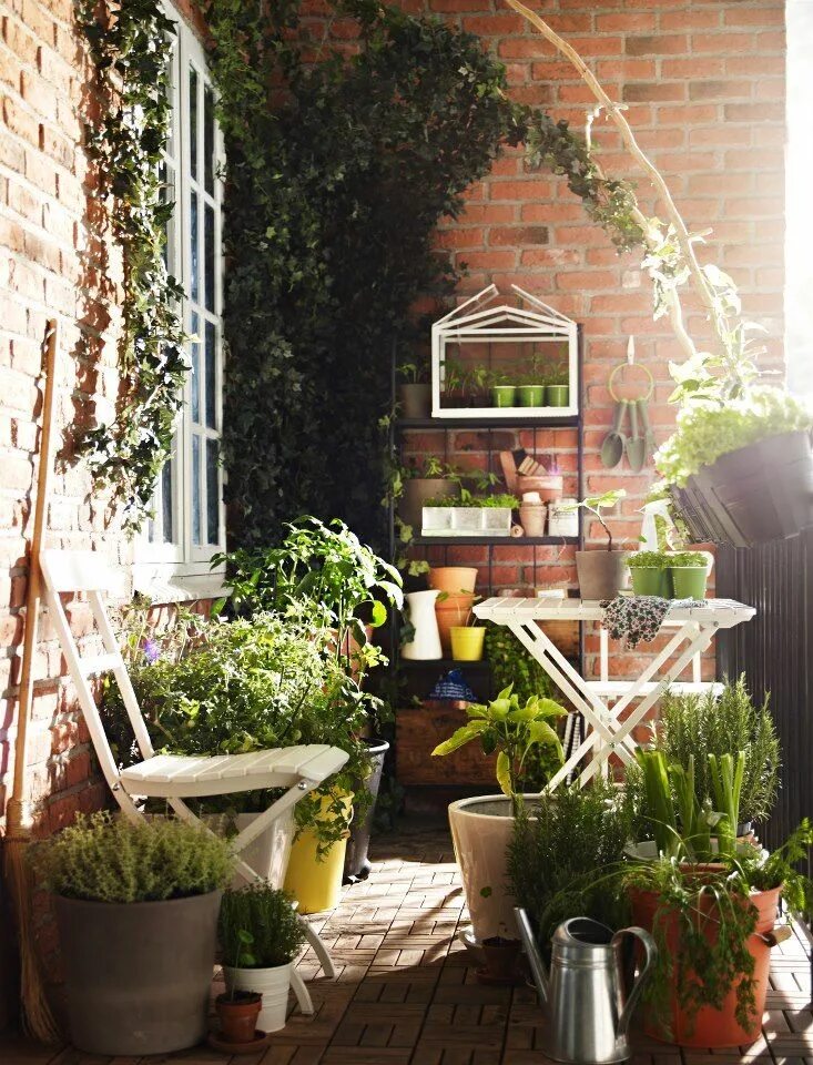 Balcony gardening. Зимний сад на лоджии. Озеленение балкона. Уютная лоджия. Озеленение балконов и лоджий.