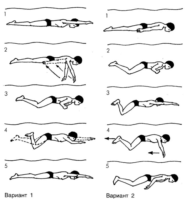 Техника плавания брассом. Техника плавания брассом руки. Брасс ноги движения техника. Техника выполнения способа плавания «брасс».