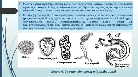 Жасырын камерамен жұмыста алдау туралы онлайн порно көру