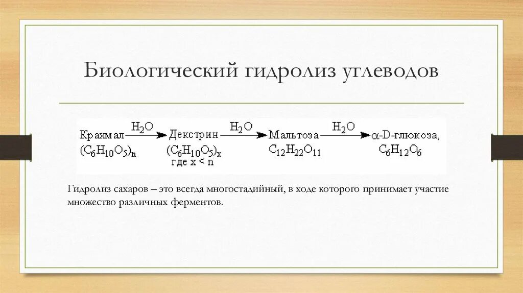 Запишите реакцию гидролиза крахмала. Запишите реакцию гидролиза крахмала