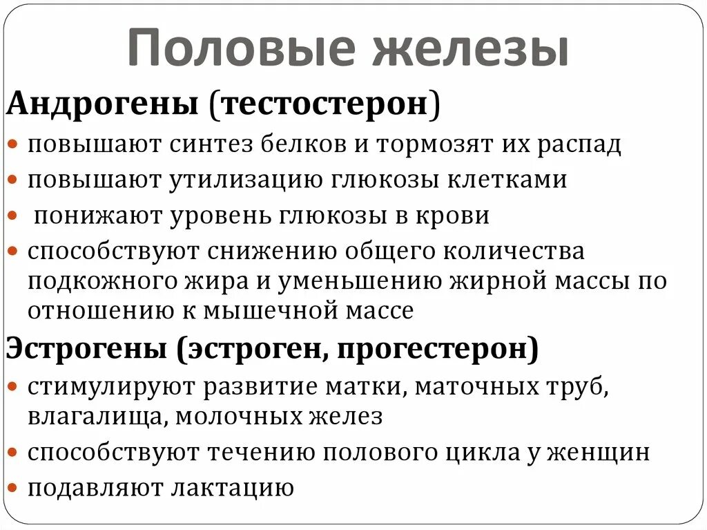 Мочеполовая система - презентация, доклад, проект скачать