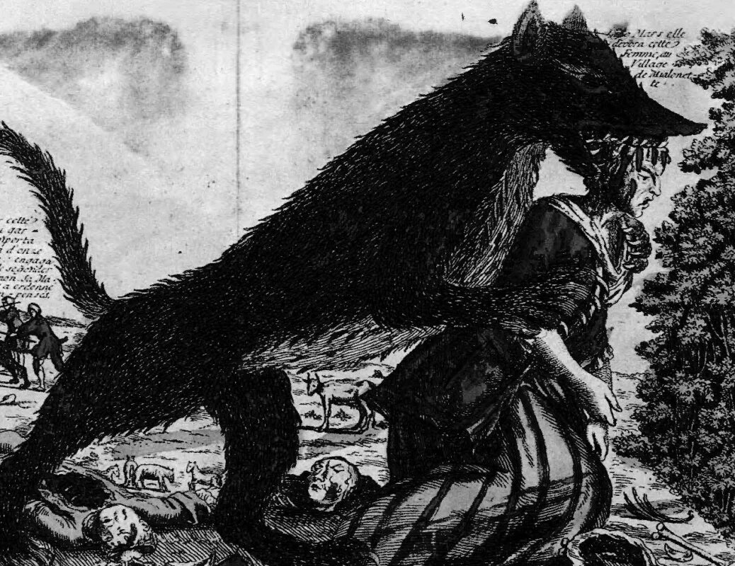 Жеводанский зверь волчонок. Жеводанским зверем волчонок. Жеводанский зверь волчонок. Жеводанским зверем волчонок. Жеводанский зверь волчонок.