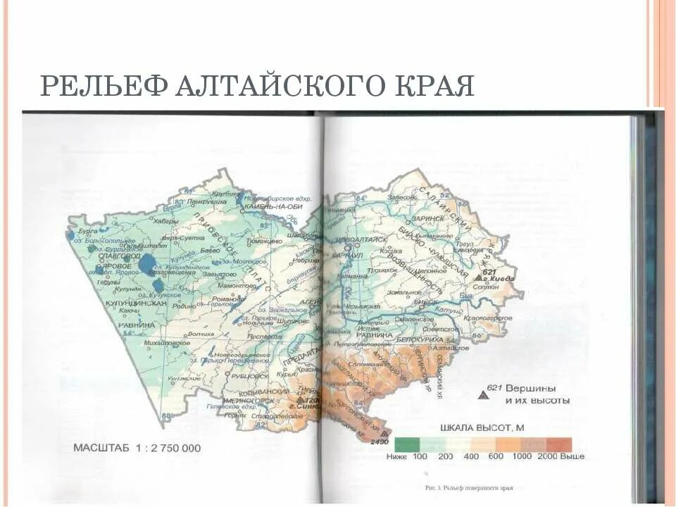 Физическая карта алтайского края рельеф. Физическая карта алтайского края с масштабом. Алтай карта рельефа. Карта формы рельефа алтайского края. Алтай карта рельефа.
