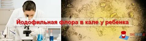 Йодофильная в кале у ребенка