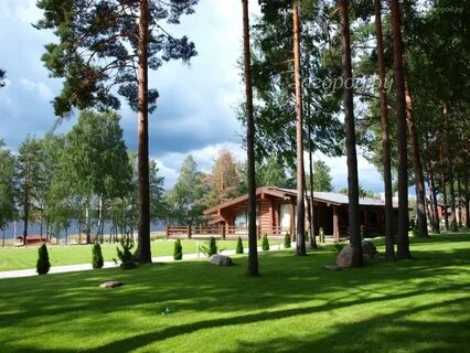 Forest home петербург
