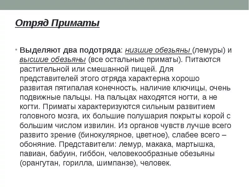Отряд приматы это. Приматы общая характеристика. особенности отряда приматы. приматы характеристика. характеристика отряда приматы.