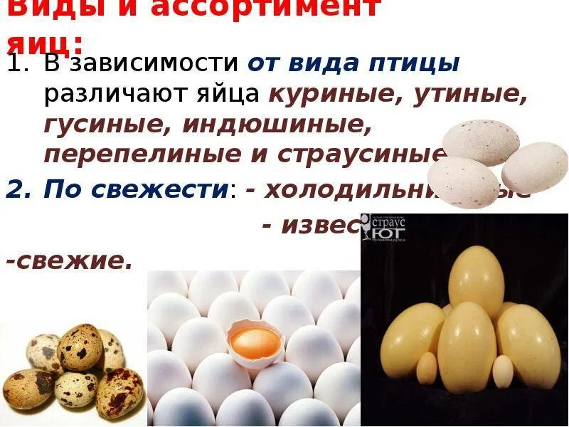 Сколько есть перепелиных яиц. Ассортимент яиц. ассортимент куриных яиц. презентация яйца и яичные продукты. микрофлора яиц и яичных продуктов.