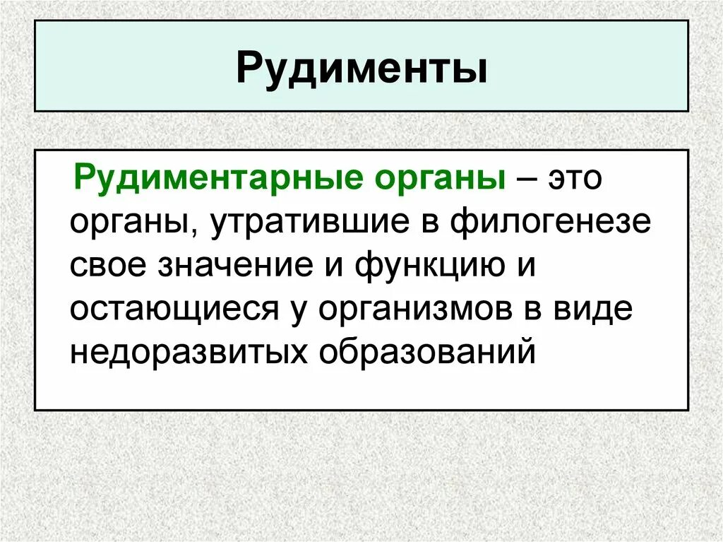 3 примеры рудиментов. Рудиментарные органы человека примеры. Рудименты человека список.