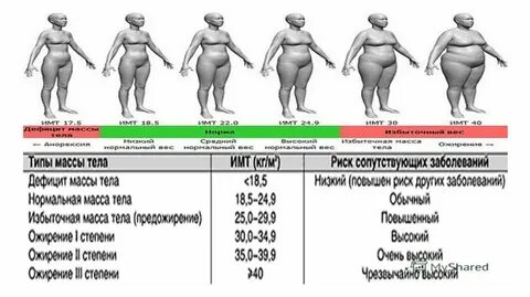 Тест ребенка на ожирение