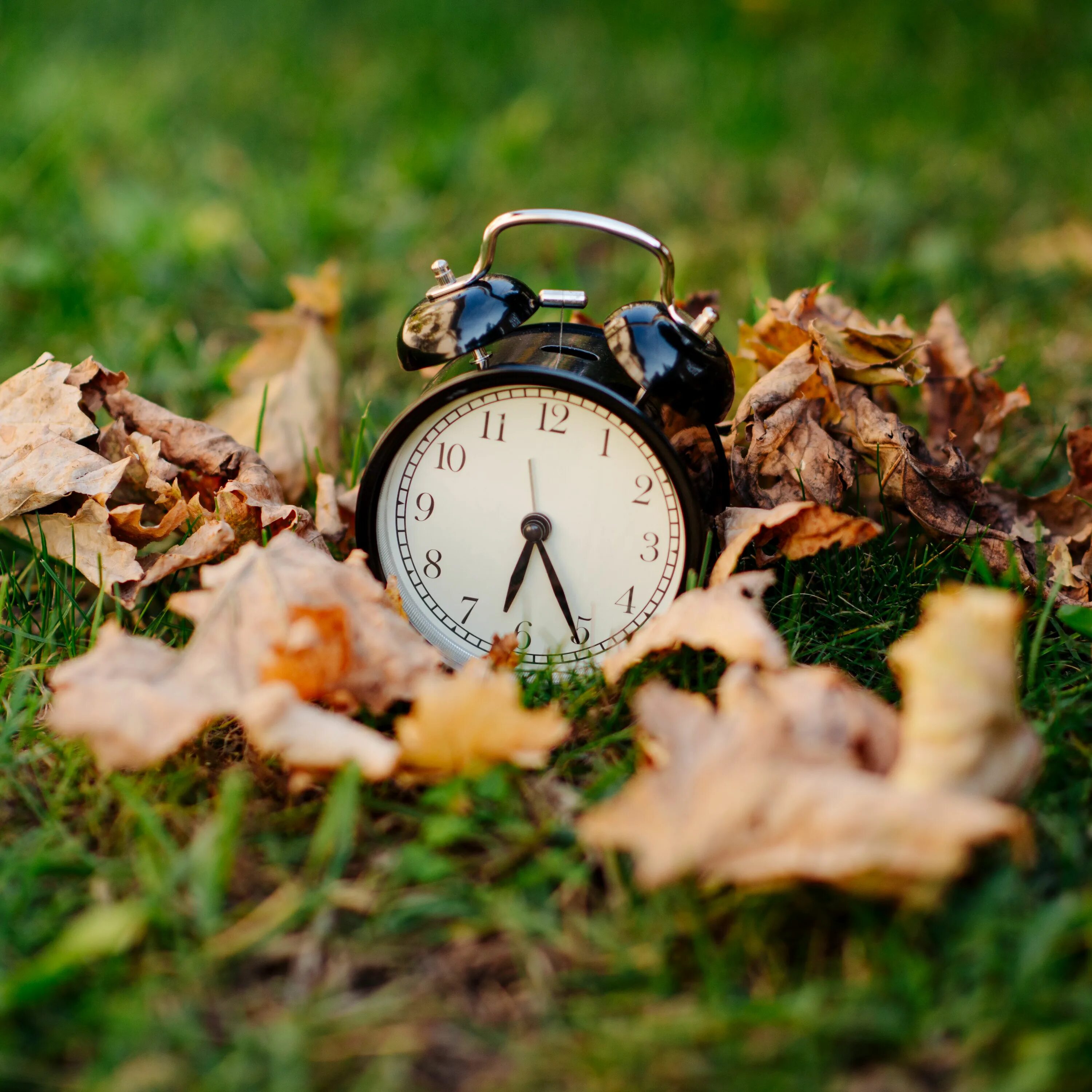 Время удивительная. Сломанные часы. Часы и время. Будильник на листве. Часы время картинки.