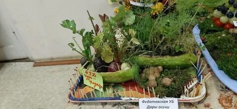 Положение конкурса дары осени